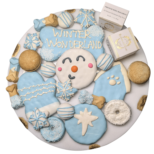 Winter Themed Dog Treats Gift Box - 21 treats