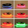 Pet Dog Nylon Safety Collar LED Light Puppy Necklace Dog Accessories - red