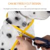 Pet's LED Collar With USB Rechargeable Glowing Lighted Up & Cuttable Waterproof Safety For Dogs - Red - One-size
