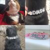Bling Rhinestone Puppy Dog Collars Personalized Small Dogs Chihuahua - L - black