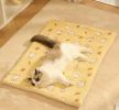 Pet Blanket Dog Cat Bed Winter Warm Mat Four Seasons Universal Blanket - carrots - S