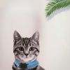 Pet Collar For Dog & Cat; Reflective Cat Collar With Bell; Dog Collar With Cartoon Cat Head - Reflective Blue
