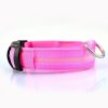 Pet Dog Nylon Safety Collar LED Light Puppy Necklace Dog Accessories - pink